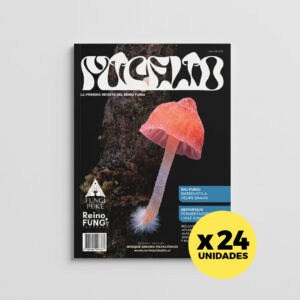 DISTRIBUCIÓN x 24 / Edición  002 IMPRESA