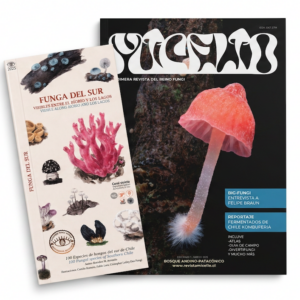 PACK Edición 002 + Guía Plegable Funga del Sur
