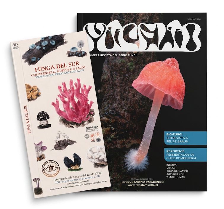 PACK Edición 002 + Guía Plegable Funga del Sur