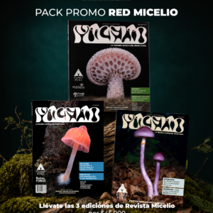 PACK 3 Ediciones