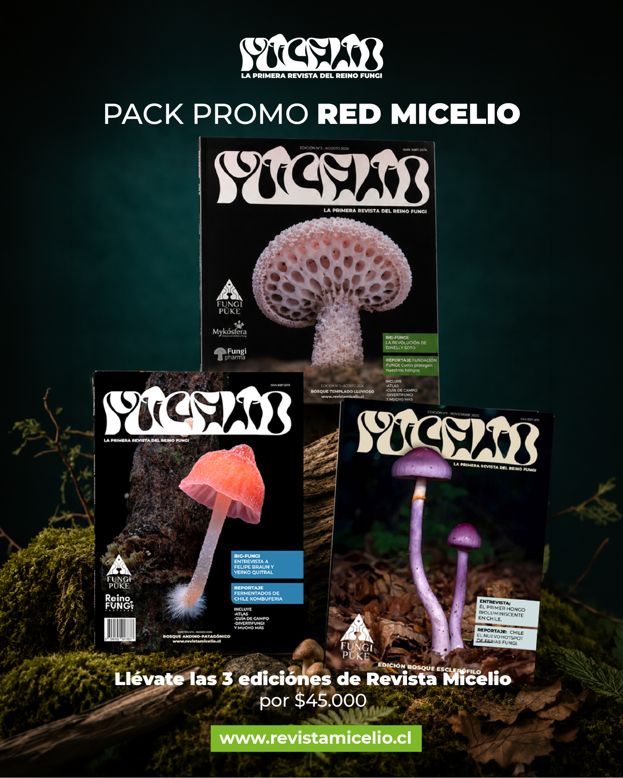 PACK 3 Ediciones