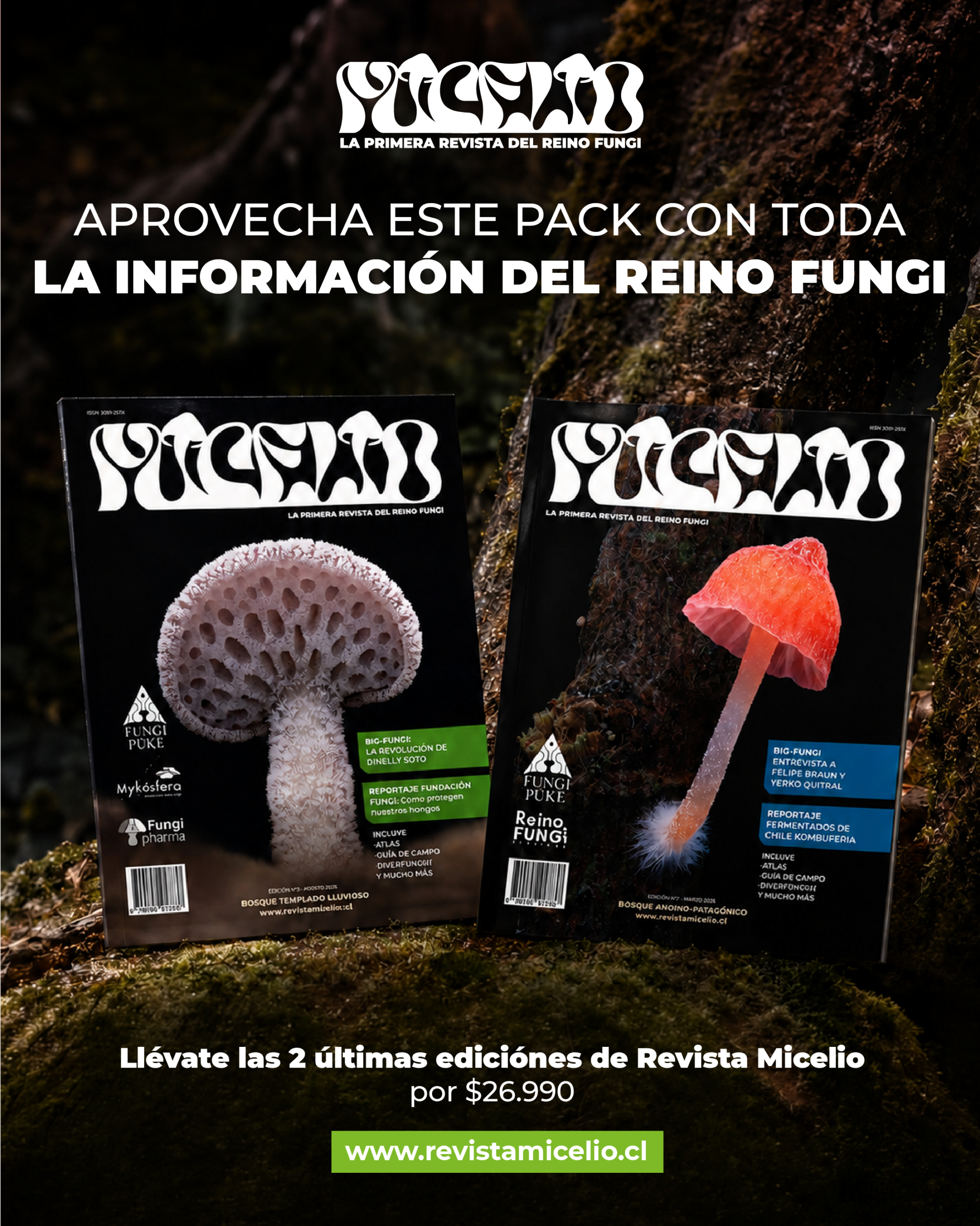 PACK Edición 002 + Edición 03